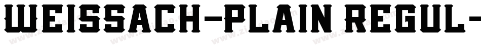 Weissach-Plain Regul字体转换